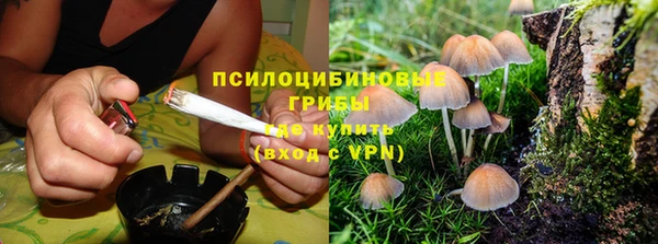 бошки Абинск