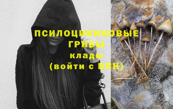 мяу мяу мука Абаза