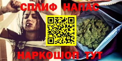 гашик Бузулук