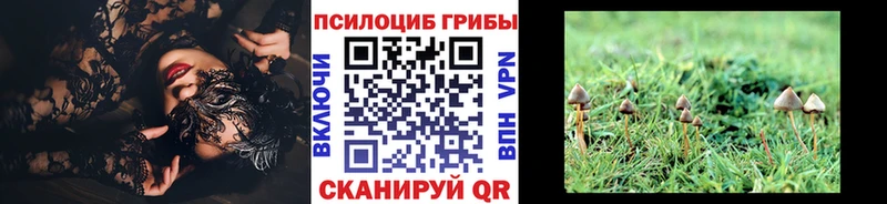 Галлюциногенные грибы мицелий Каменка