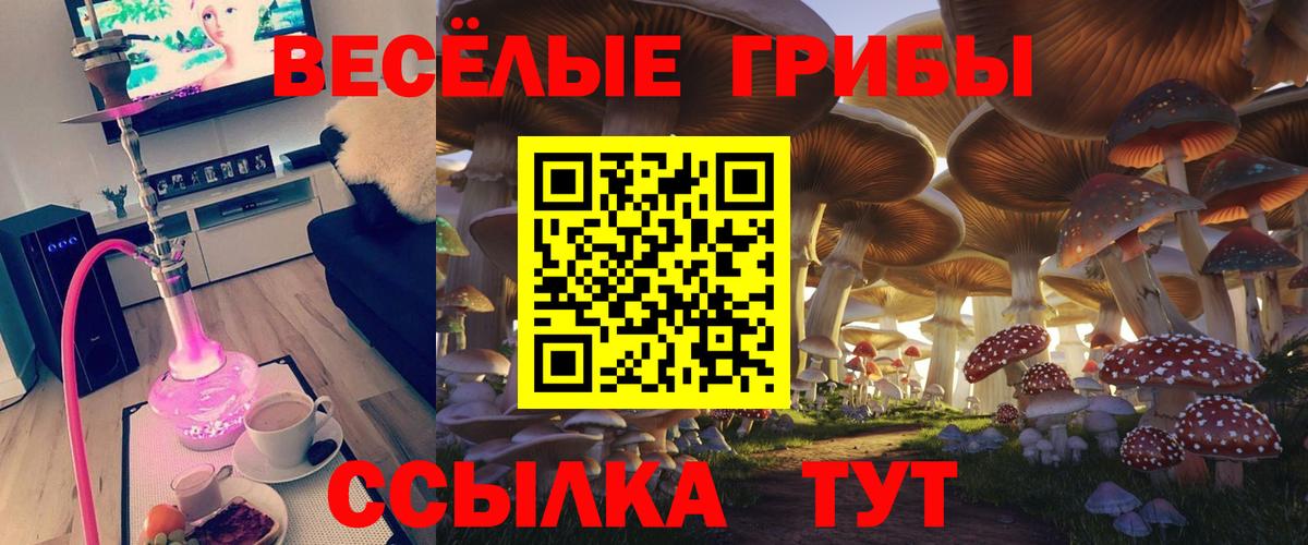 Каменка  Галлюциногенные грибы MAGIC MUSHROOMS  Вход с VPN 